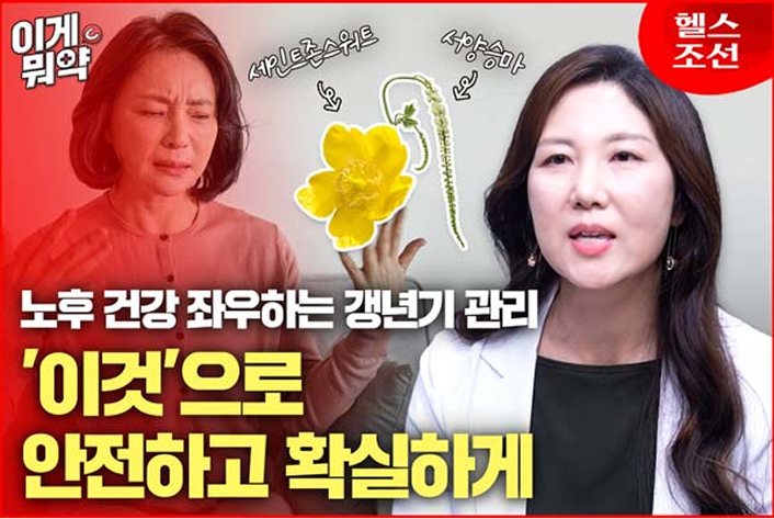 갱년기 혈자궁에 ‘이 질환’ 의심? 안전하고 효과적인 관리법