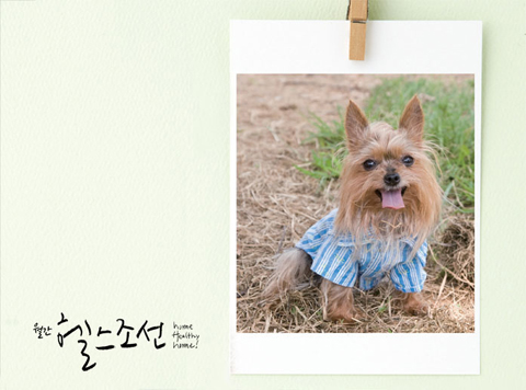 이미지