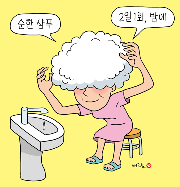 이미지