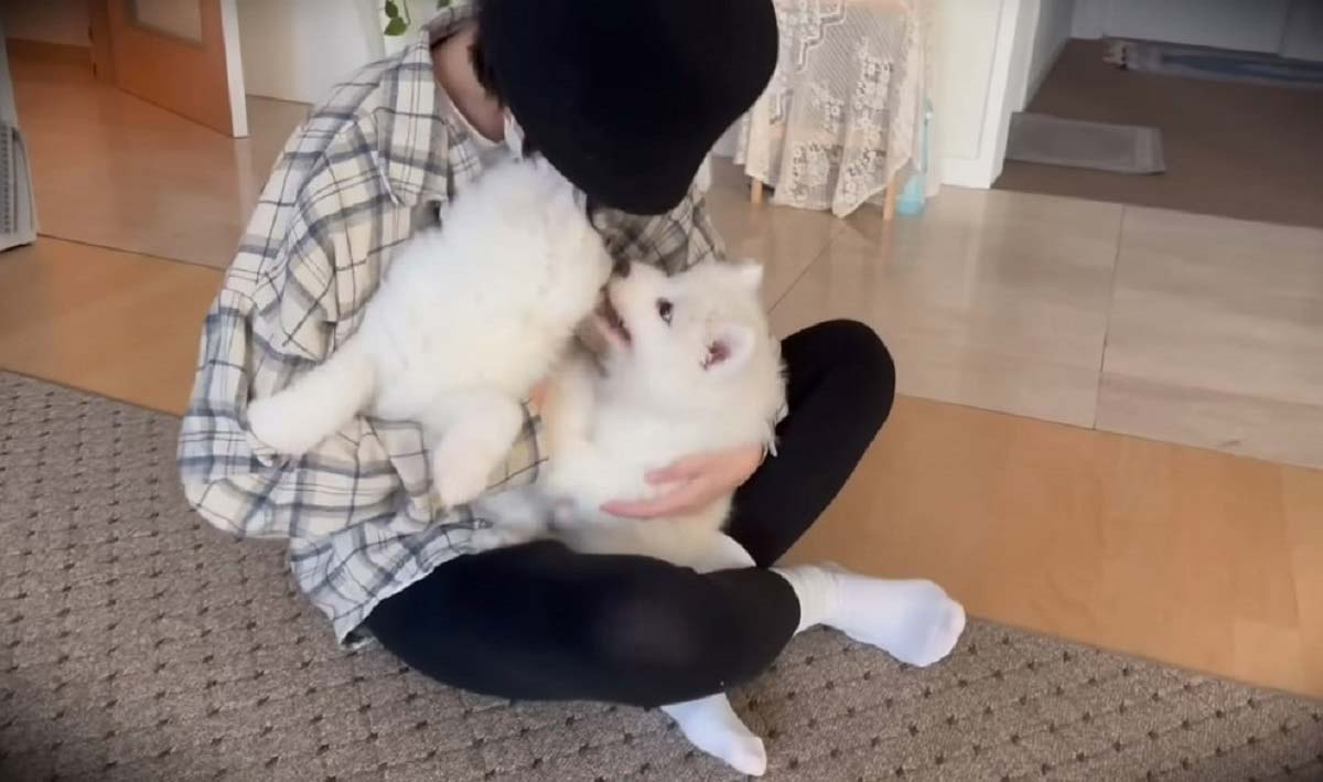이미지