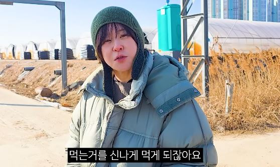 배우 최강희 관련 보도 이미지