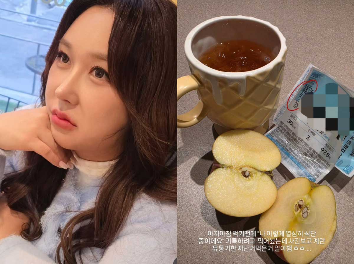 헬스조선 풍자 다이어트 식단 관련 이미지