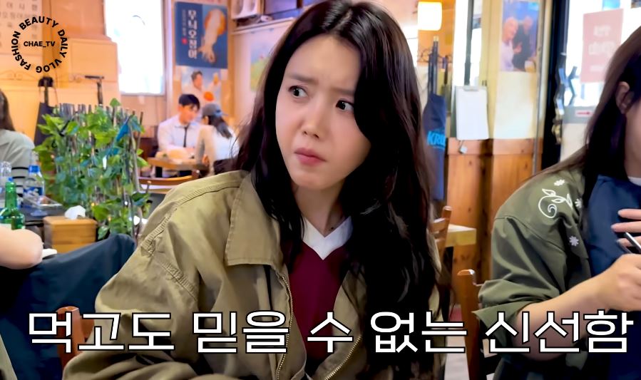 채정안 실치회 관련 보도 이미지